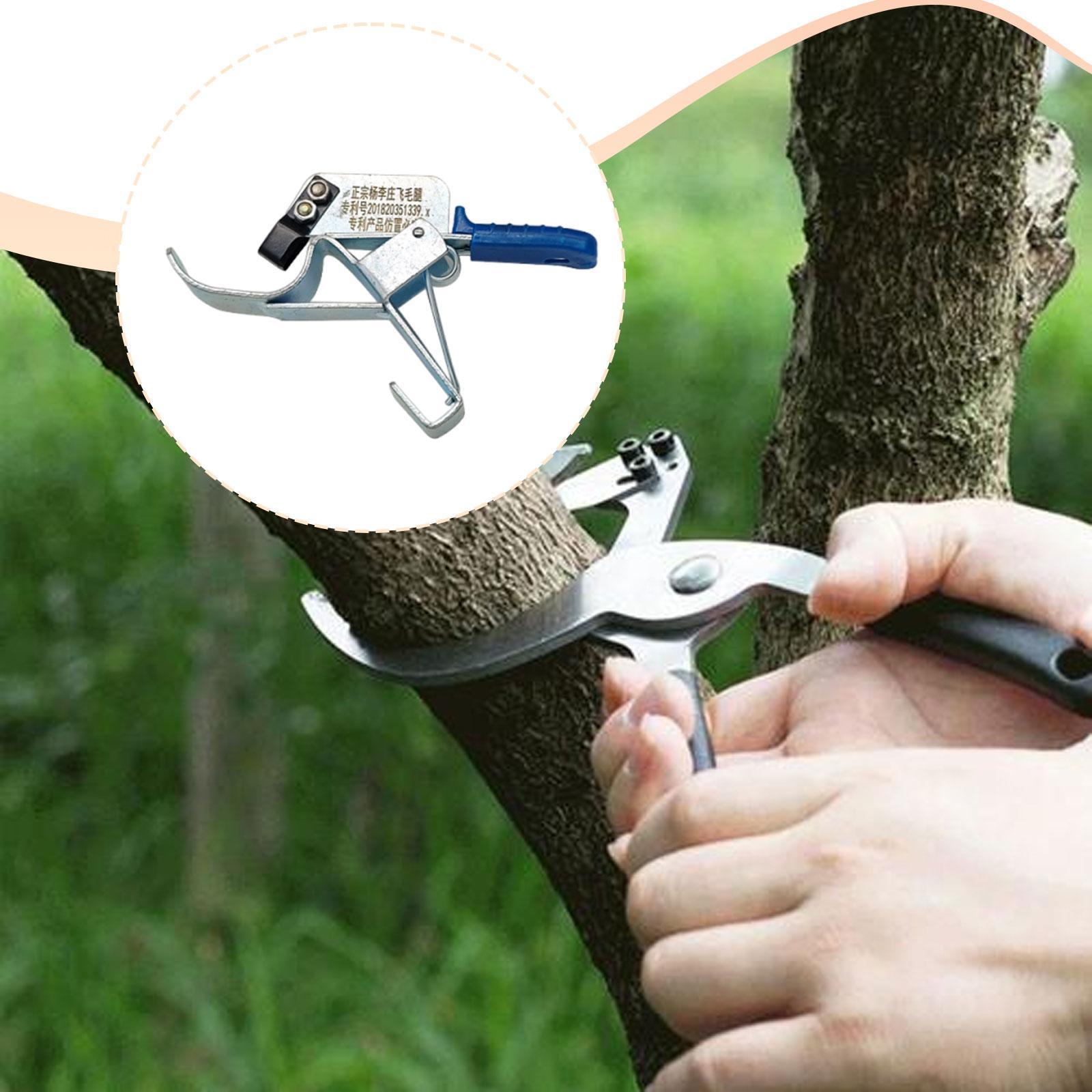 과일나무 감싸기 도구, 필수적이고 실용적이며 효율적이며 - Gardening Tools Essential 리뷰 및 가격