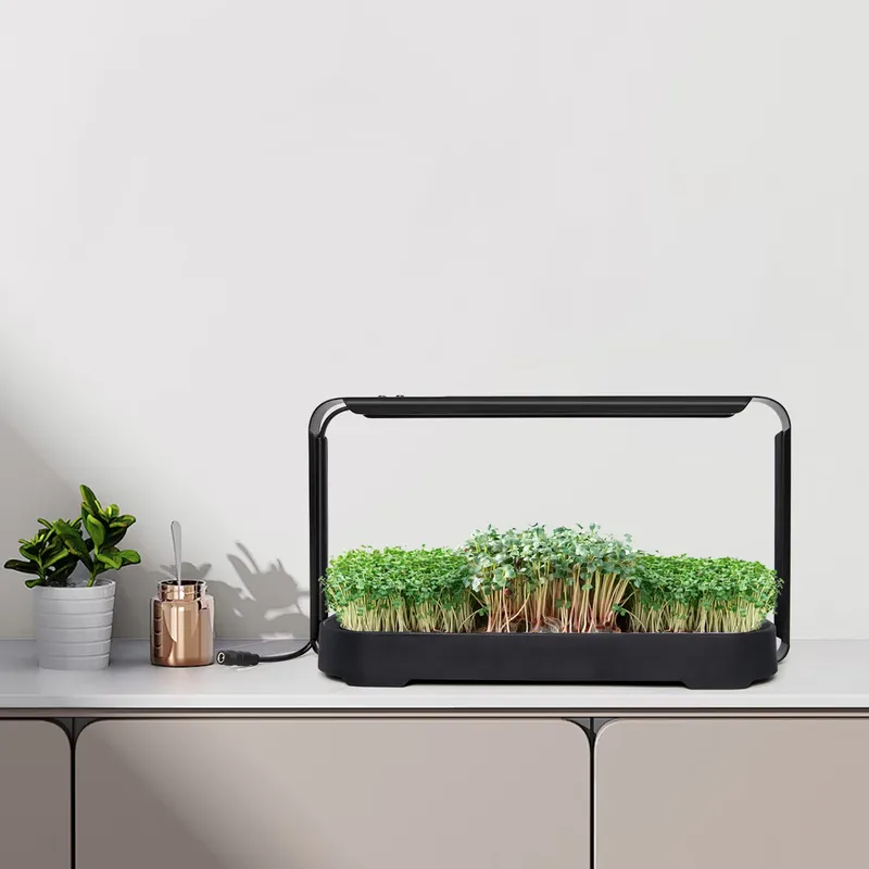 마이크로그린 자동 급수 수경재배 시스템(재배등 포함)  - Self-Watering Planter 리뷰 및 가격