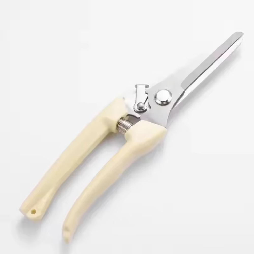 전문가용 가지치기 칼, 정원 가위, 꽃과 과일 나무 가 - Gardening Tools Essential 리뷰 및 가격