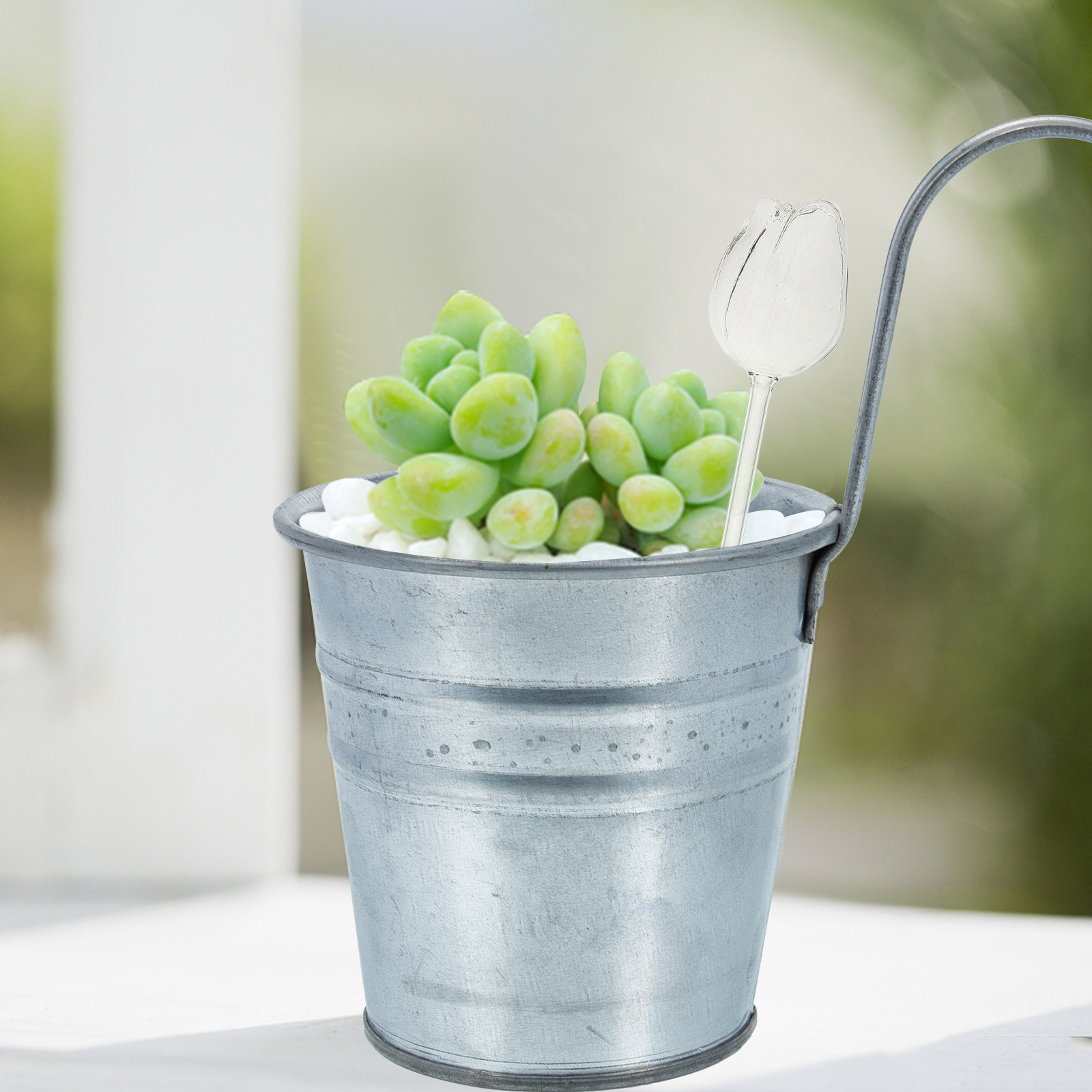 고급 붕규산 유리 재질의 자동 급수 화분용 구형 물통  - Self-Watering Planter 리뷰 및 가격