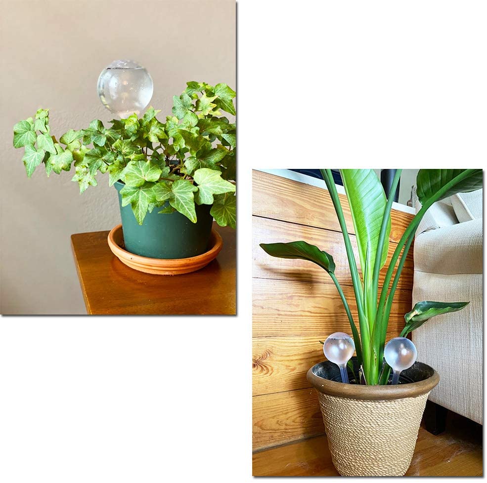 자동 식물 물 공급기, 자체 급수 플라스틱 공, 실내  - Automatic Plant Waterer 리뷰 및 가격