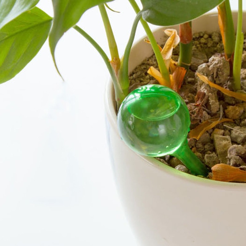 자동 식물 물 공급기, 자체 급수 플라스틱 공, 실내  - Automatic Plant Waterer 리뷰 및 가격