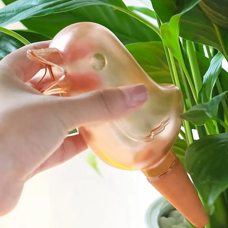고품질 자동 급수기, 식물용 자동 급수 장치, 자동 물 - Automatic Plant Waterer 리뷰 및 가격