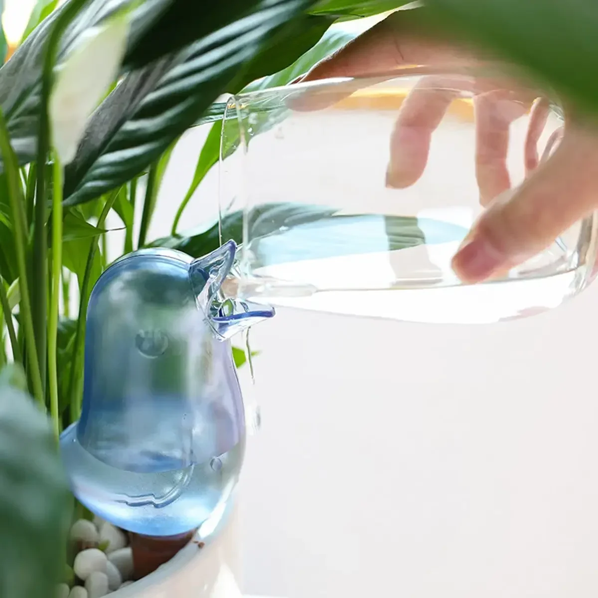고품질 자동 급수기, 식물용 자동 급수 장치, 자동 물 - Automatic Plant Waterer 리뷰 및 가격