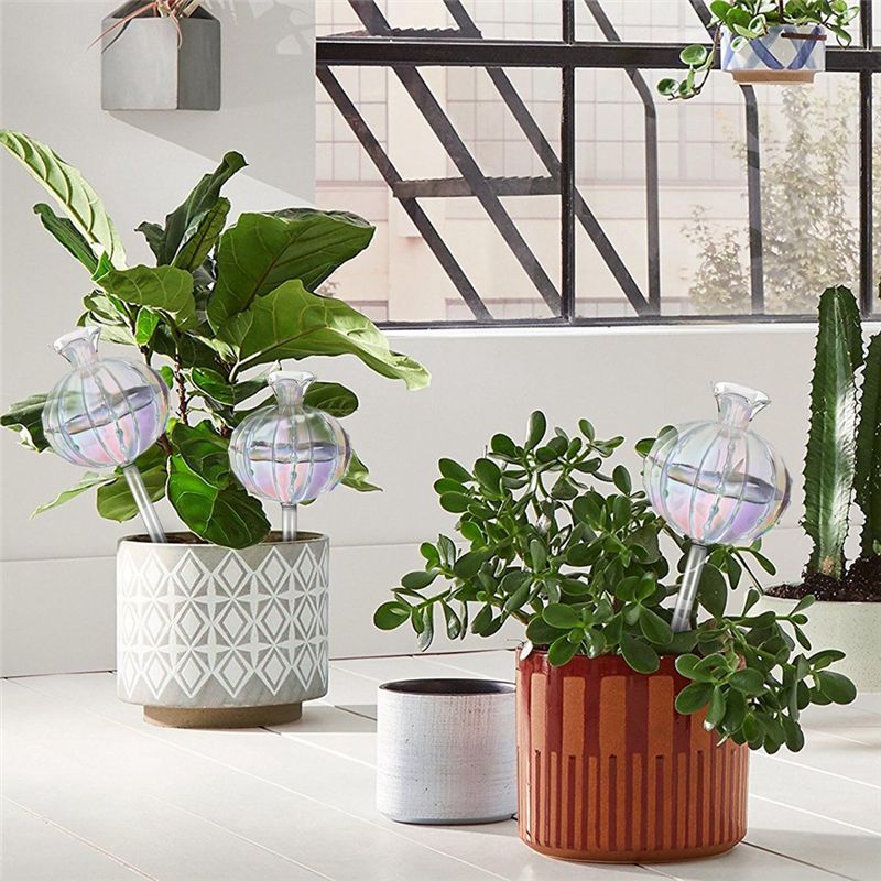 AA94-식물용 자동 급수 구슬, 유리 재질의 선인장  - Self-Watering Planter 리뷰 및 가격